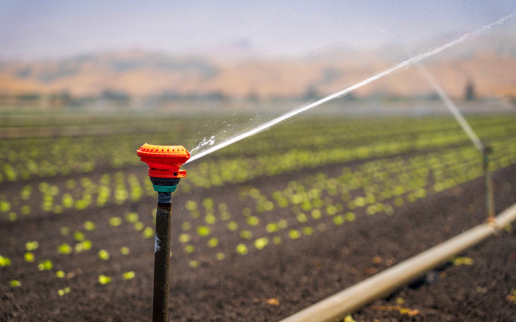 Irrigation system supporting crop growth