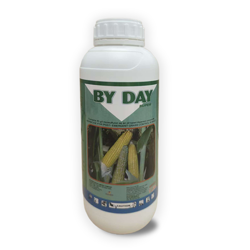 By Day product
